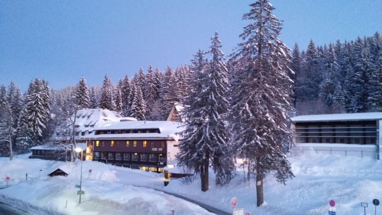 Ferienwohnung Residenz Grafenmatt, Feldberg  Exterior foto
